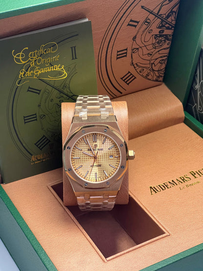 Men’s Automatic Watch with Timeless Design